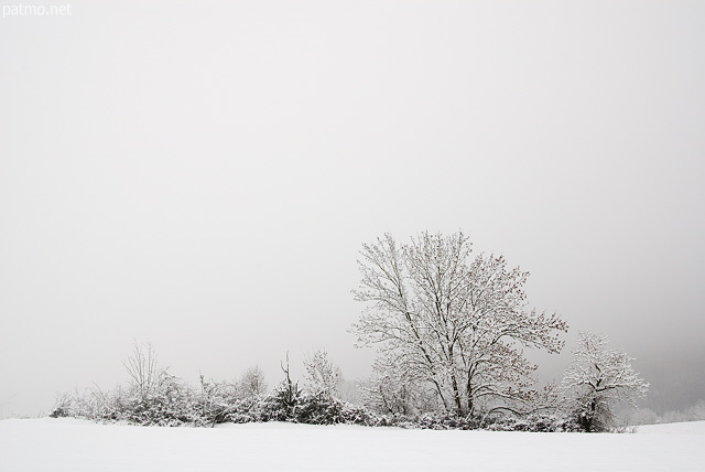 Image d'un paysage rural sous la neige et le brouillard près de Chaumont en Haute Savoie