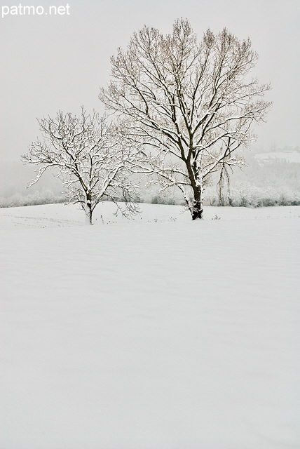 Photographie d'un paysage rural sous la neige et le brouillard en Haute Savoie