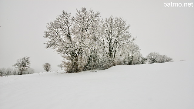 Photo d'arbres enneigés près de Chaumont en Haute Savoie