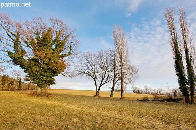 Image d'un paysage rural sur le plateau des Daines en Haute Savoie