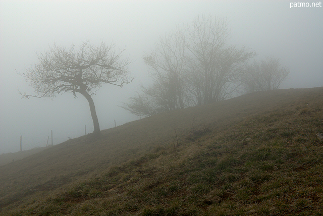 Photographie d'un paysage rural dans le brouillard sur la montagne du Vuache en Haute Savoie.