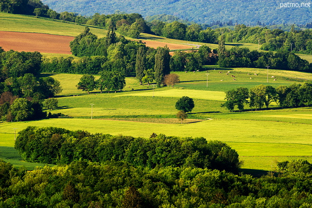 Photographie d'un paysage rural autour de Frangy en Haute Savoie