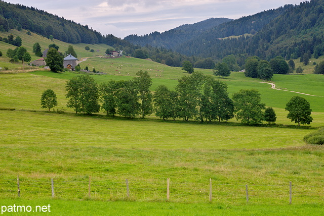 Photographie d'un paysage rural du Haut Jura entre Mijoux et le Tabagnoz