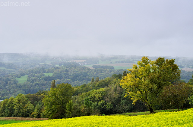Photo of a rape field and french countryside in autumn
