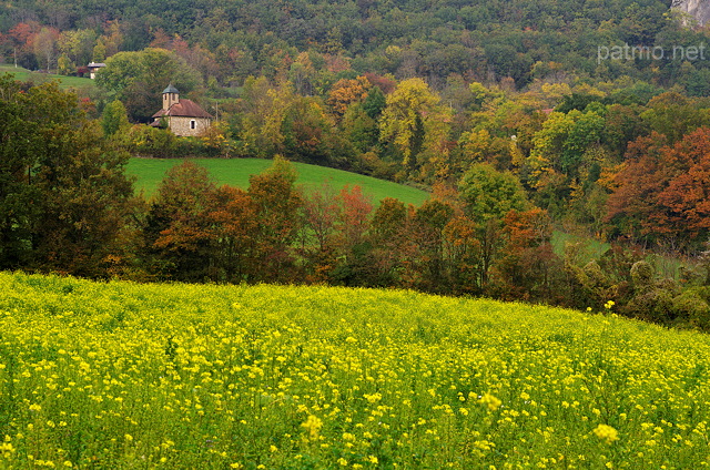 Image d'un champ de colza et des couleurs d'automne à Chaumont en Haute Savoie