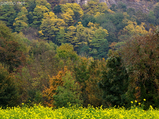 Image des couleurs d'automne en Haute Savoie