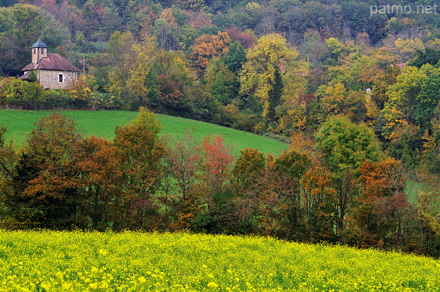 Photo d'un champ de colza dans un paysage rural en automne