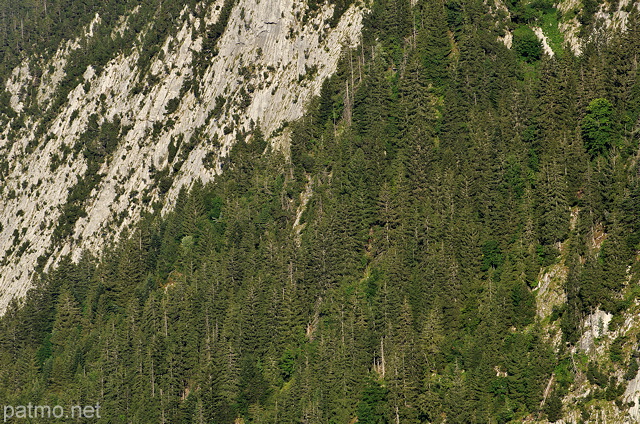 Image d'une fort de montagne accroche aux falaises du Bargy