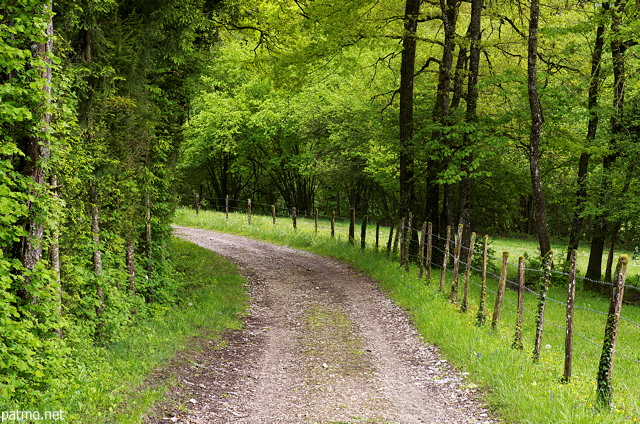 Photo d'un chemin rural à travers champs en Haute Savoie