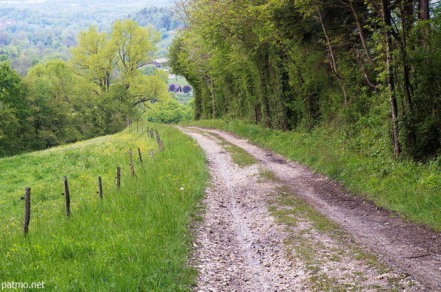 Image d'un chemin rural dans la campagne de Haute Savoie