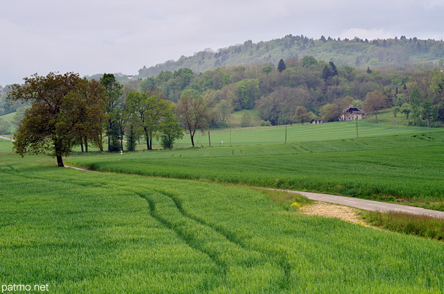 French countryside landscape near Sillingy - Haute Savoie