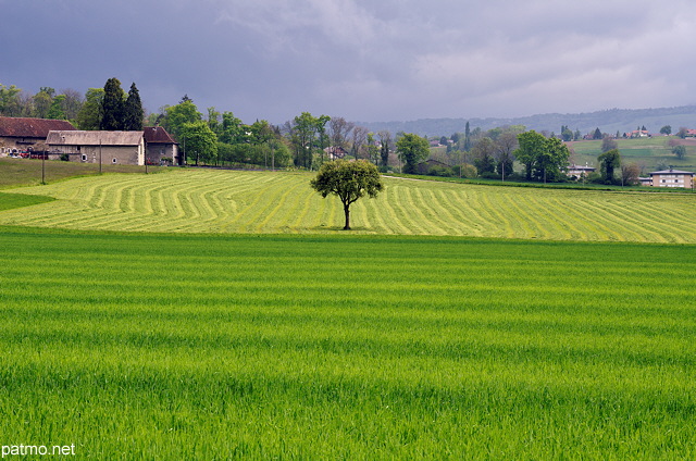 Photographie d'un paysage rural sous les nuages près de Sillingy en Haute Savoie