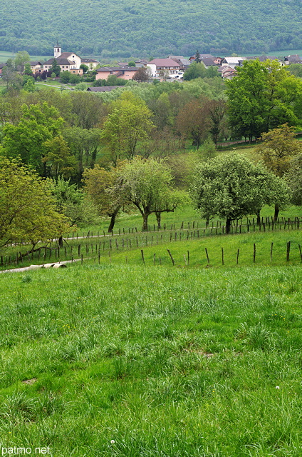 Image d'un paysage  campagnard près de Sillingy en Haute Savoie