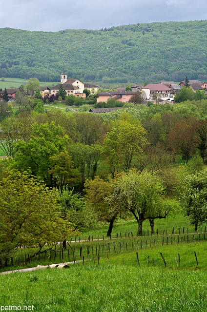 Photographie d'un paysage de printemps autour de Sillingy en Haute Savoie