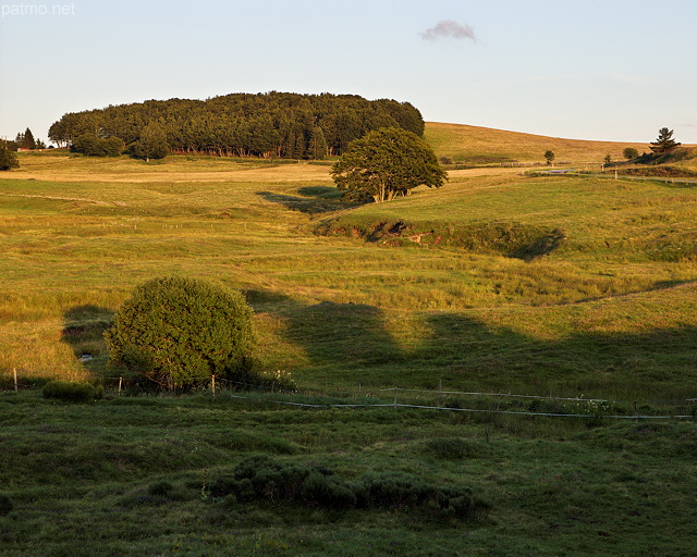 Photo de prairies et de bosquets entre Le Bage et Sainte Eulalie en Ardche