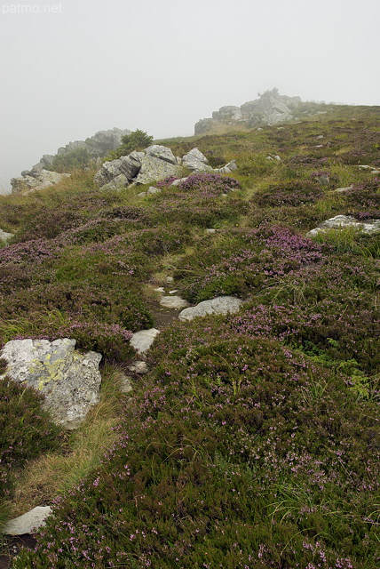 Photograph of Ardeche mountains in summer mist