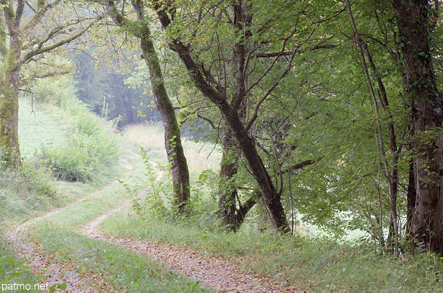 Image d'un chemin  à travers la campagne à Arcine en Haute Savoie