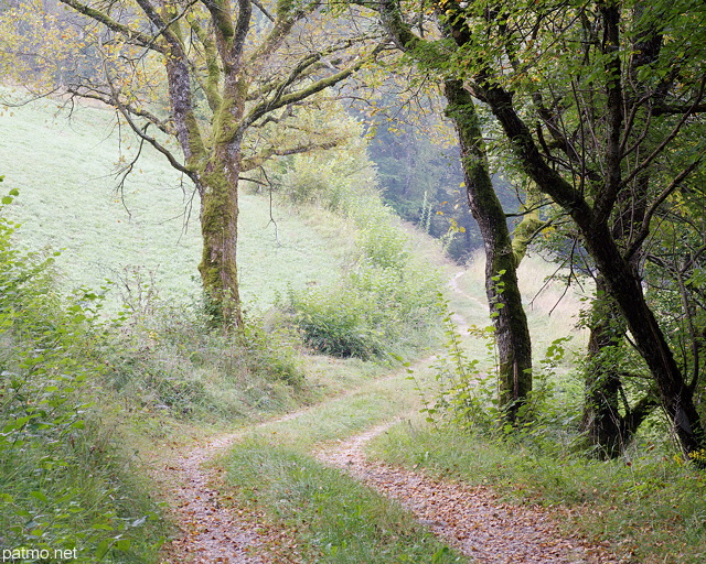 Photo d'une chemin à travers champs près d'Arcine en Haute Savoie