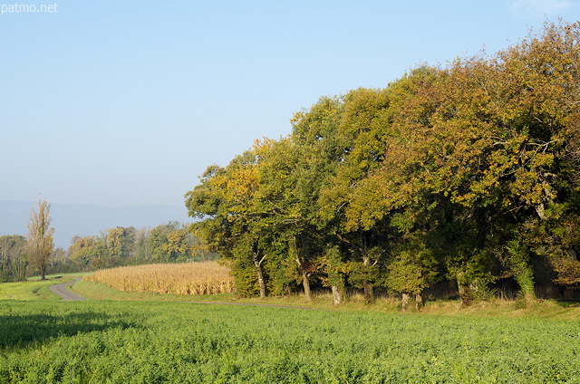 Photograph of a french countryside landscape by a sunny autumn morning
