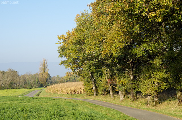 Photographie d'une route de campagne à travers un paysage rural