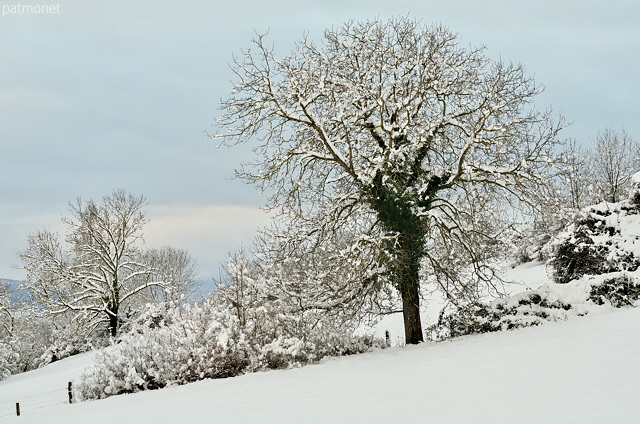 Photo d'un paysage de campagne sous la neige près de Chaumont en Haute Savoie