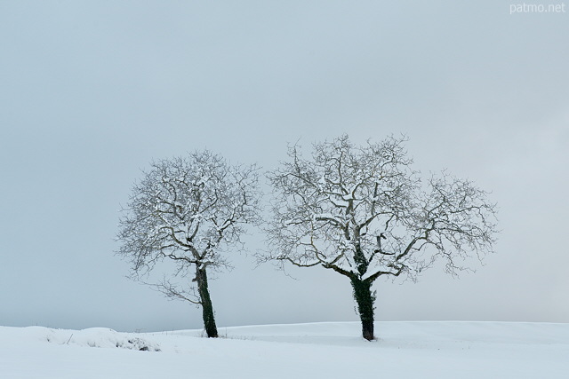 Photographie d'un paysage rural de Haute Savoie dans une ambiance hivernale