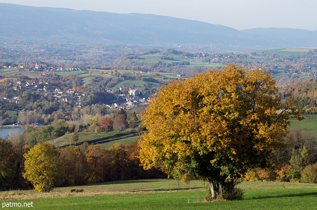Image of a rural landscape in autumn in the french countryside