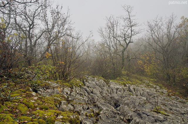 Photo of a lapies in the autumn mist - Chaumont, Haute Savoie