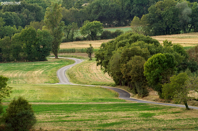 Photo of a country road in summer meadows