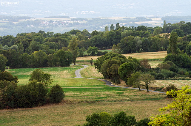 Image d'une petite route de campagne à travers le plateau des Daines à Chaumont