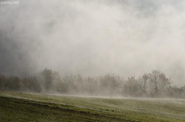 Image d'un paysage rural dans le brouillard
