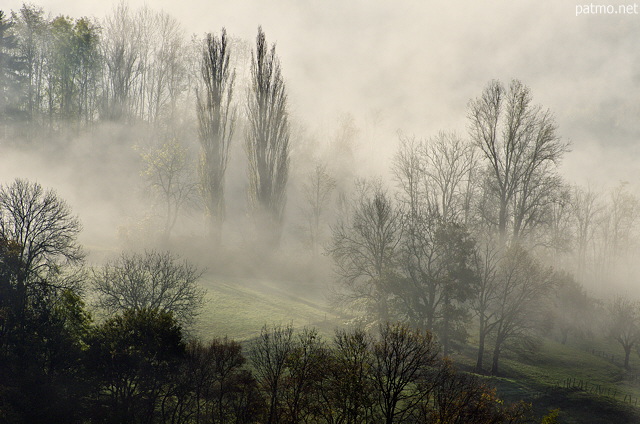Image of the mist of an autumn morning on the french countryside