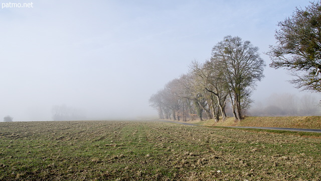 Photograph of a misty landscape on the Daines plateau