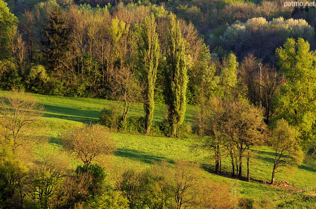 Image of the french countryside under a warm sunset light