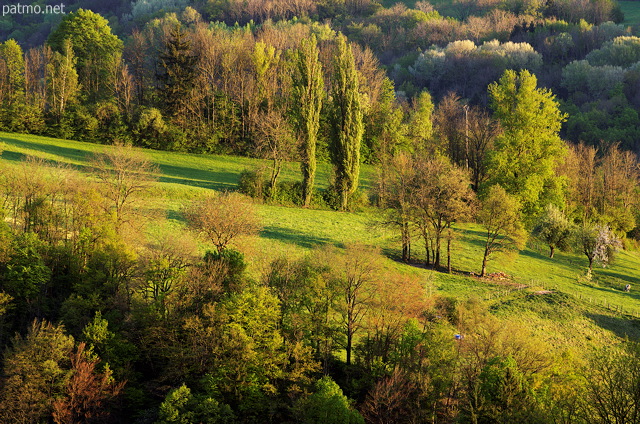 Countryside landscape under warm light at the end of a springtime day