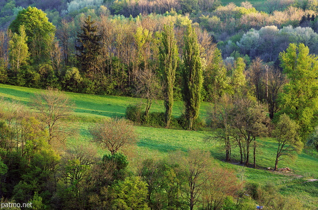 Photographie d'un paysage printanier et verdoyant dans la campagne de Haute Savoie