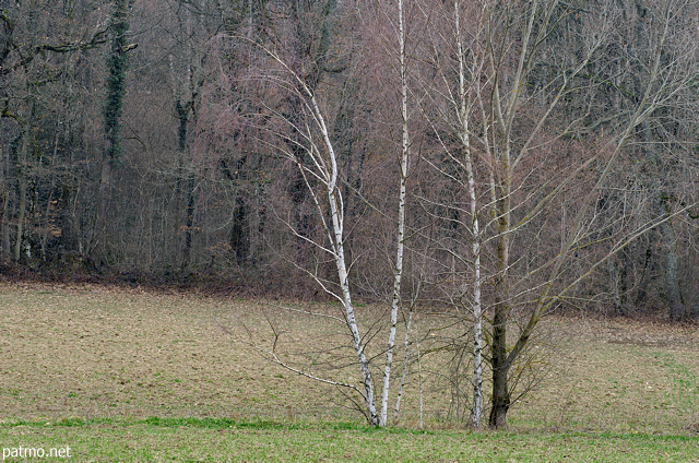 Photo des couleurs d'un jour gris d'hiver dans la campagne de Haute Savoie
