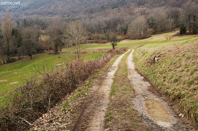 Photo of a rural path in the french countryside on Vuache mountain