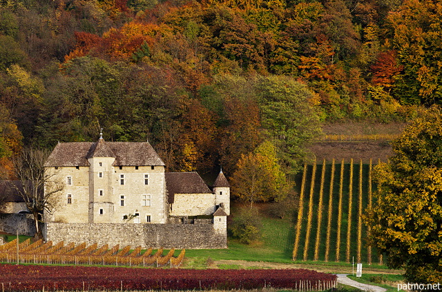 Image of Chautagne vineyard in France around Mecoras castle