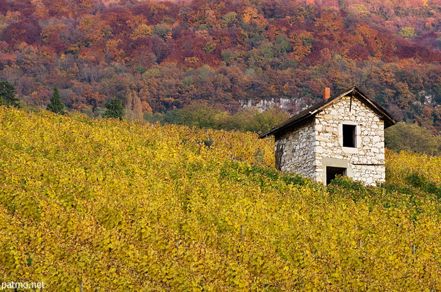 Photographie d'un vieux cabanon  en pierre dans le vignoble d'automne en Chautagne