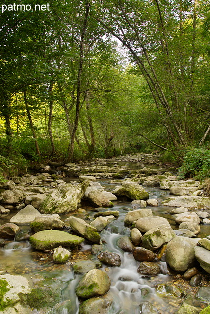 Picture of Fornant river running underwood