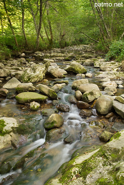 Photo de la rivière du Fornant en sous bois autour de Chaumont en Haute Savoie