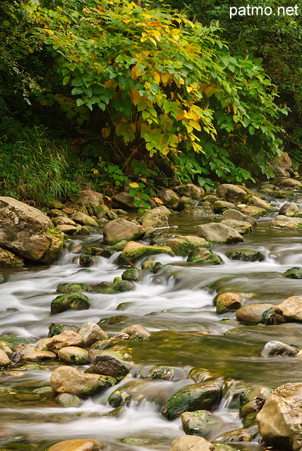 Photo of rocks, water and first autumn colors in Usses river