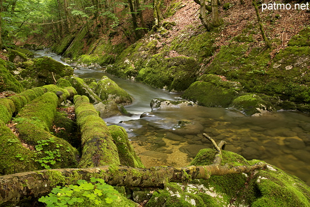 Photo du lit de la rivière de la Valserine dans les montagnes du Parc Naturel Régional du Haut Jura