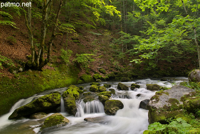 Photo de petites cascades dans la rivière de la Valserine dans le Parc Naturel Régional du Haut Jura