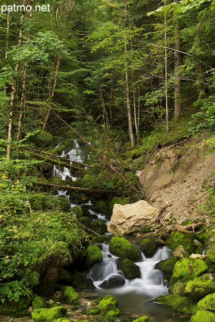 Photograph of a little stream cascading in the forest of french Jura
