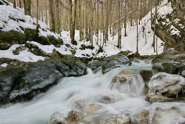 Image des eaux froides de la Valserine en hiver