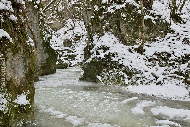 Photo de la rivière du Fornant prise par la glace durant l'hiver 2012