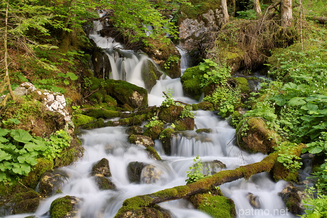Photo de petites cascades de printemps à travers la forêt de la Valserine