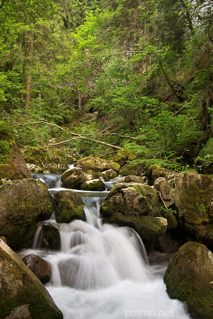 Photo de petites cascades en sous bois dans les Gorges du Bronze